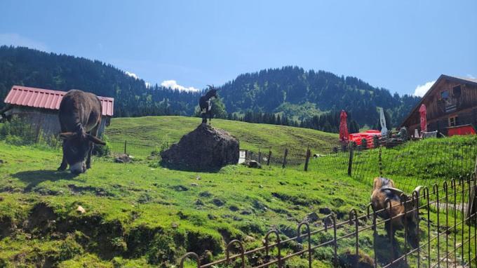 Jausenstation Neuschwand Villa Hittisau Exteriör bild