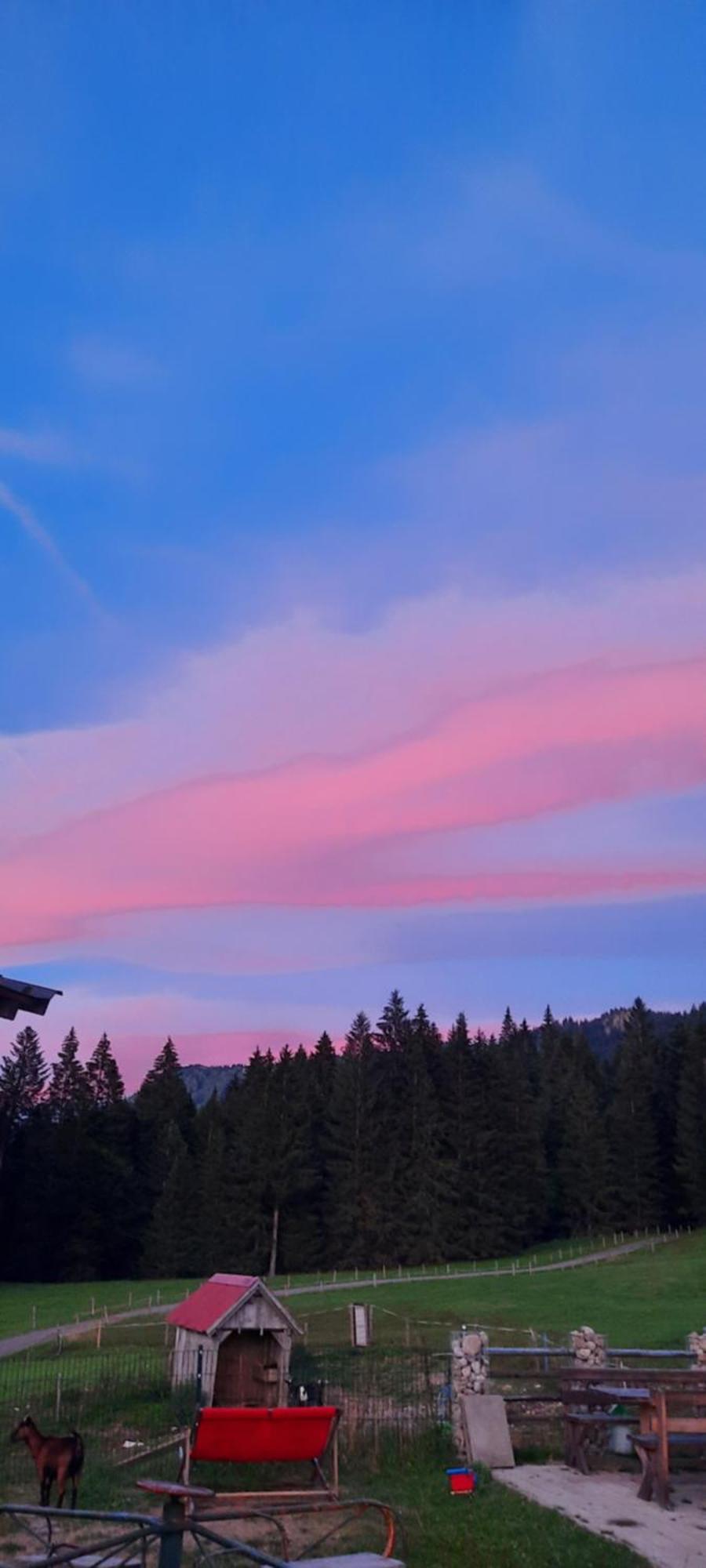 Jausenstation Neuschwand Villa Hittisau Exteriör bild