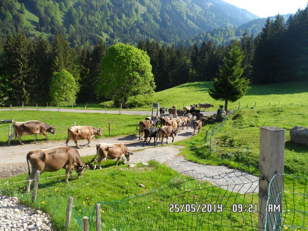 Jausenstation Neuschwand Villa Hittisau Exteriör bild