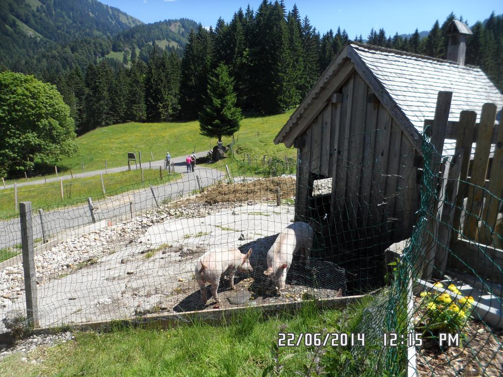 Jausenstation Neuschwand Villa Hittisau Exteriör bild