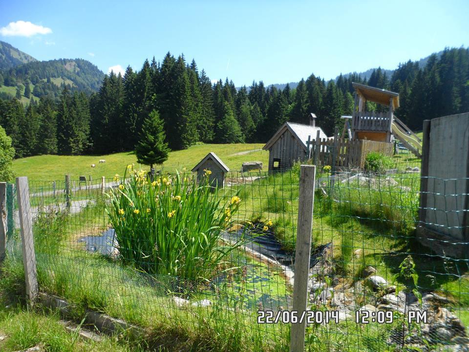Jausenstation Neuschwand Villa Hittisau Exteriör bild
