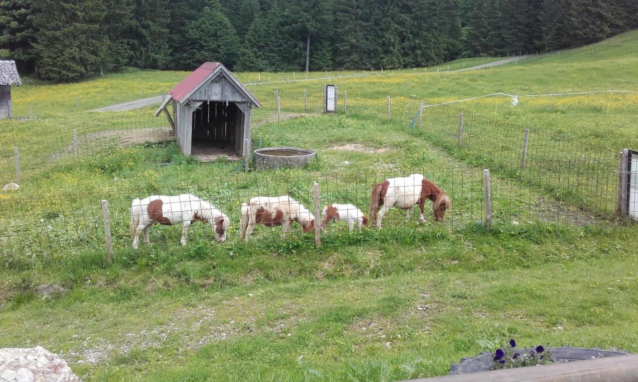 Jausenstation Neuschwand Villa Hittisau Exteriör bild